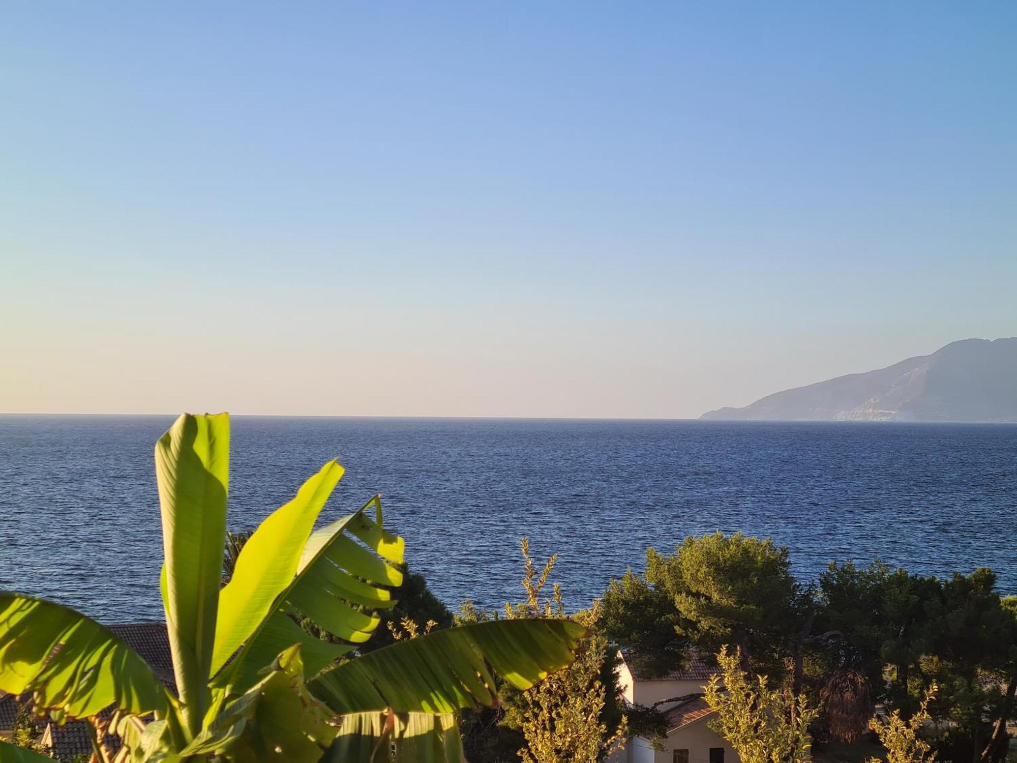 Le Panoramic Lejlighed Saint-Florent  Eksteriør billede