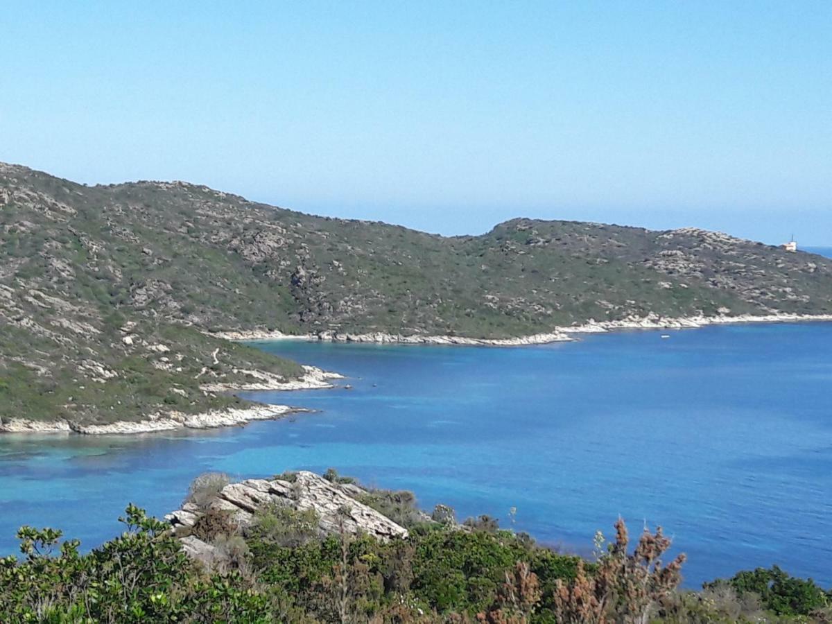 Le Panoramic Lejlighed Saint-Florent  Eksteriør billede