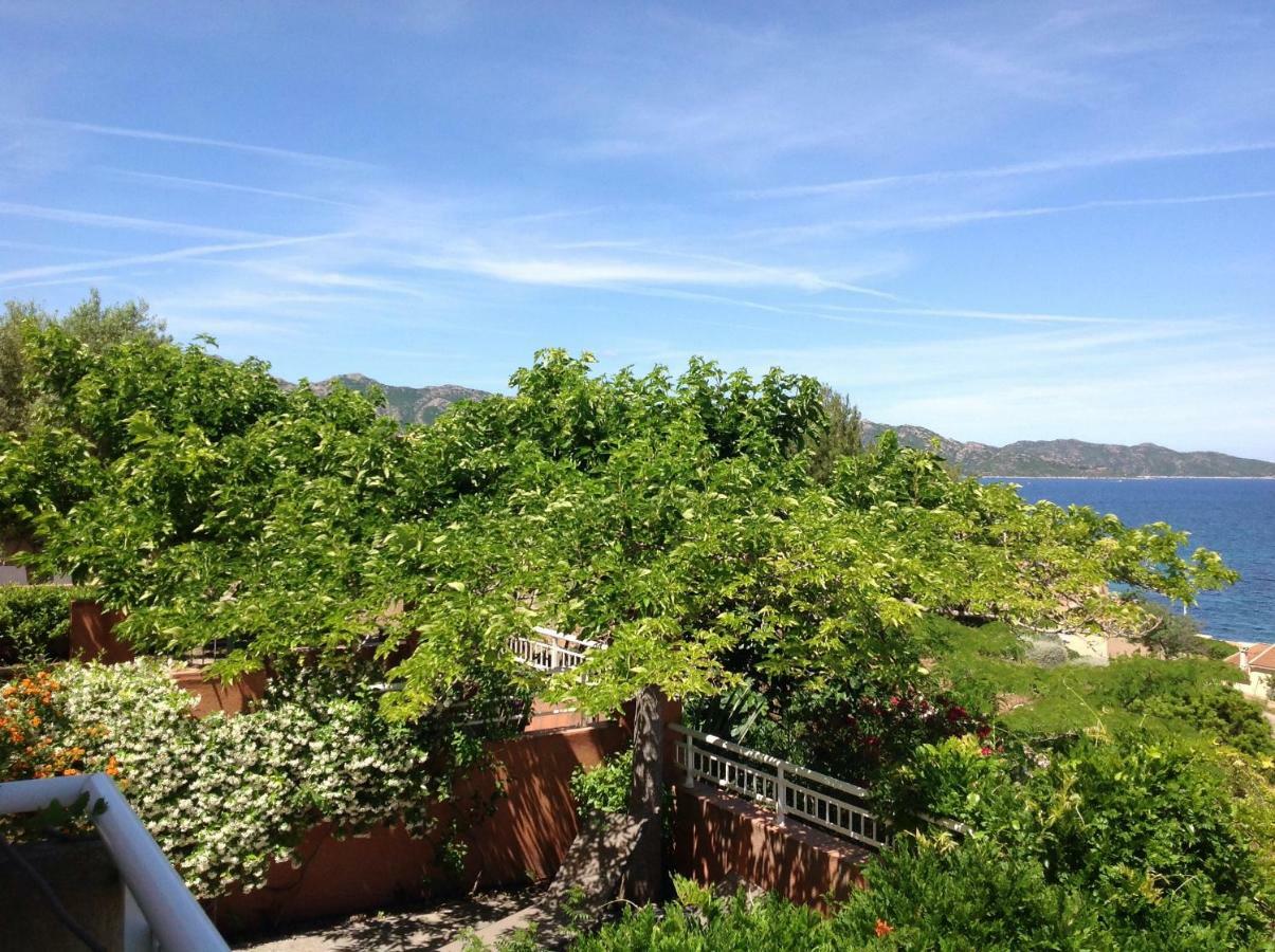 Le Panoramic Lejlighed Saint-Florent  Eksteriør billede
